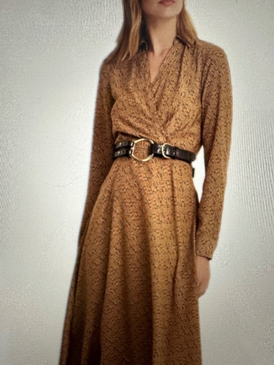 Ralph Lauren Dresses & Skirts - Ralph Lauren Printed Rowella Long Sleeve  Day Dress . NWT